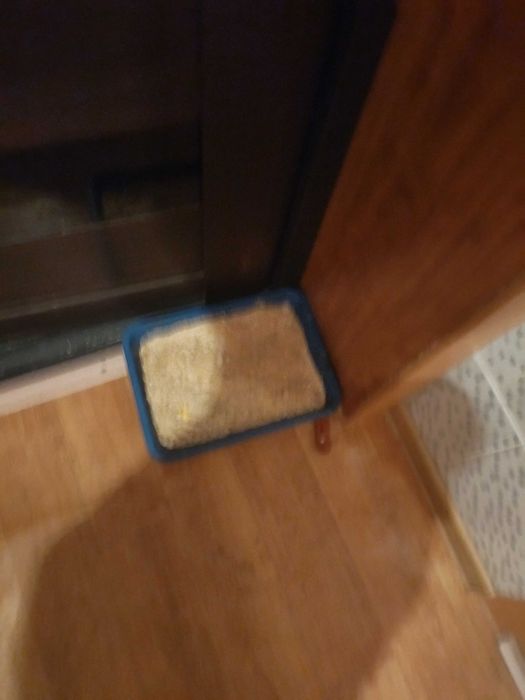 Продам Катя мальчик