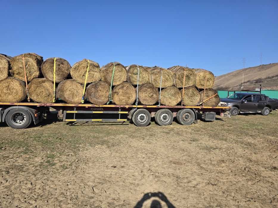 Vand grau si triticale