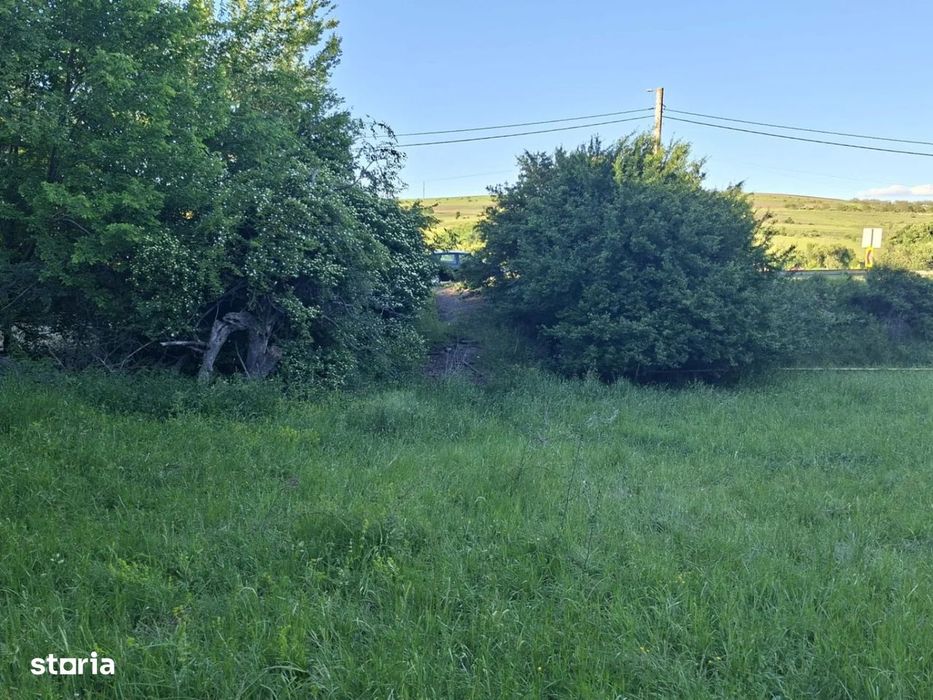 Teren de vanzare in Martinesti