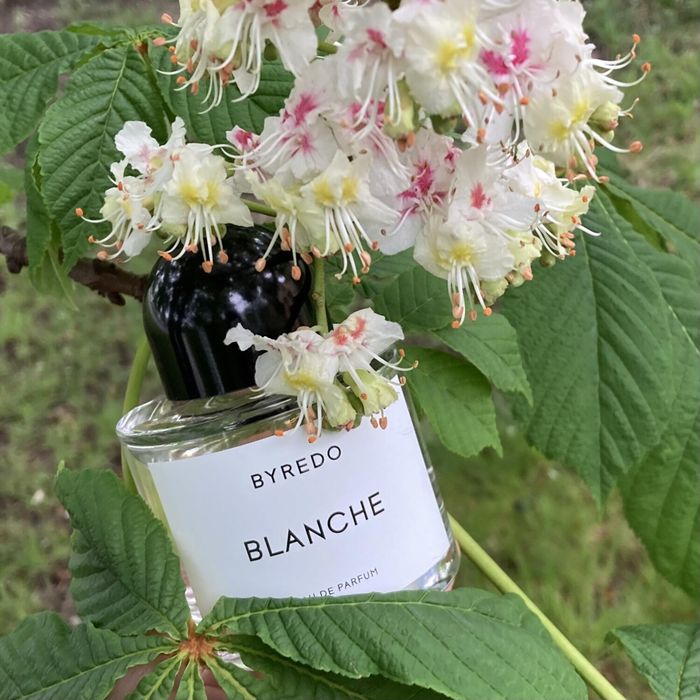 Blanche Byredo оригинал