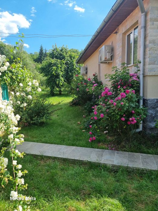 Vanzare casa Baia de Aries