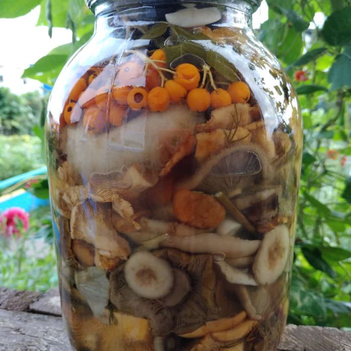 Маринованные грибы лесные
