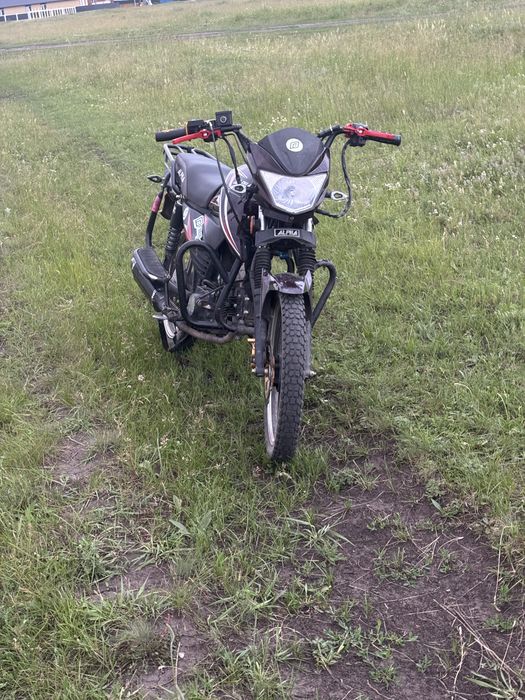 Альфа рс 12 чамп