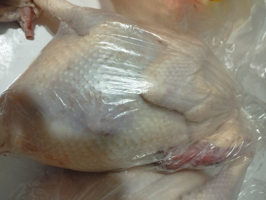 Куры домашние откормленные