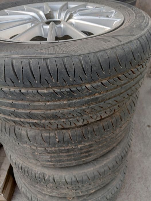 14размер вазга идеал арзан багада