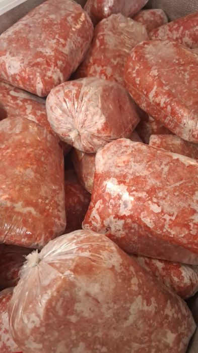 Hrana animale companie