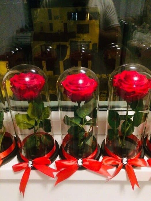 Trandafir criogenat cadou