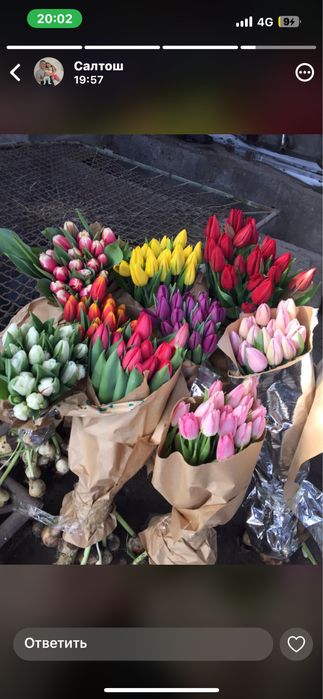 Тюлпан супер сорт