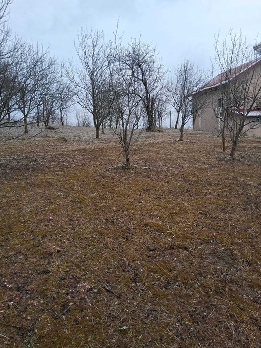 Teren intravilan Predeal Sarari 3074 mp