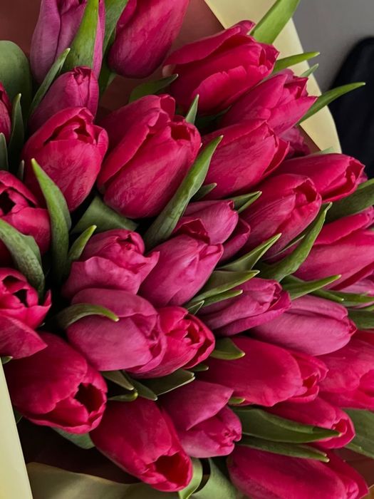 Тюльпан букет цветы