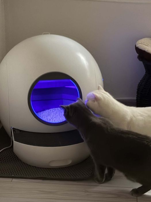 Litieră automată pisici Fish and Paws, folosită 2 săptămâni