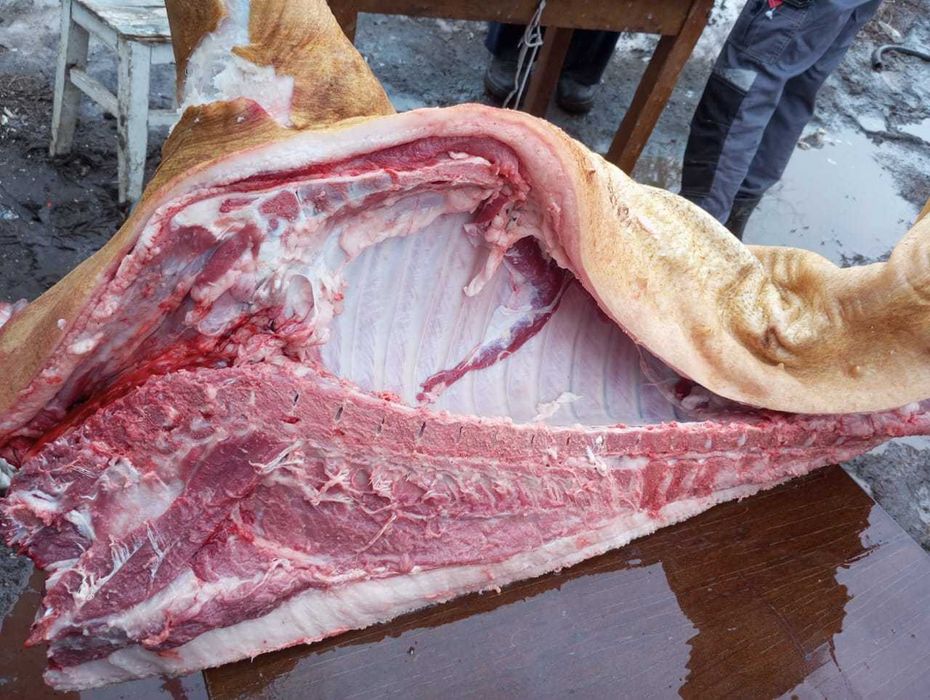 Свинина домашняя продам!