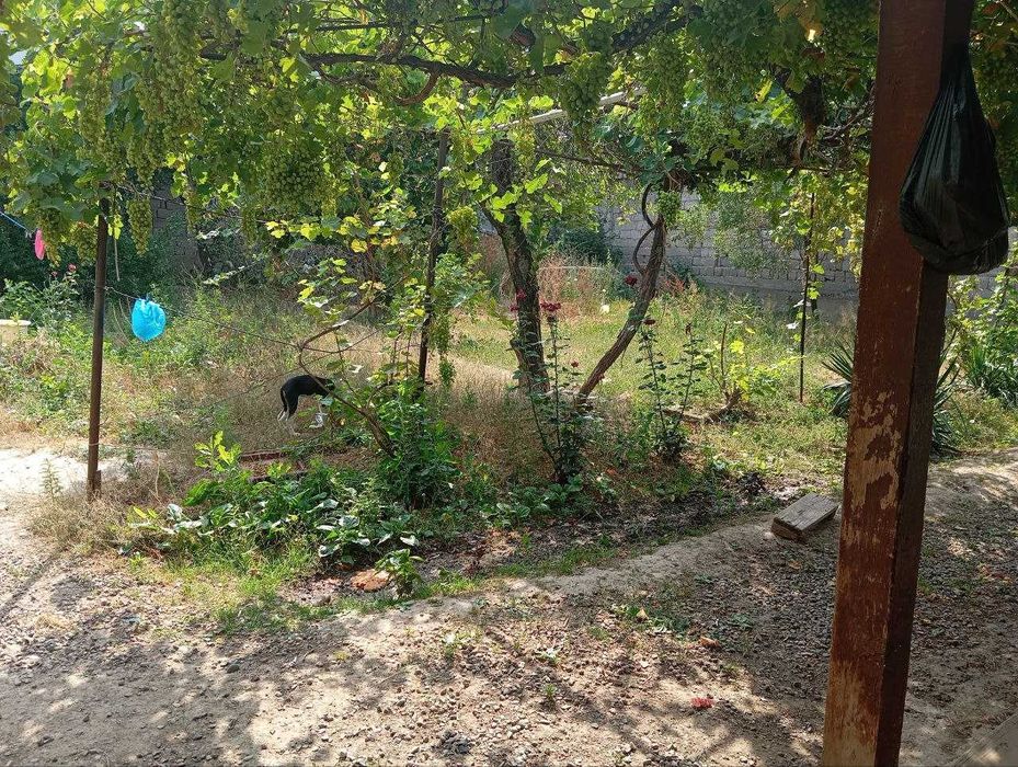 Продаётся участок, Янги Арғин махалласи