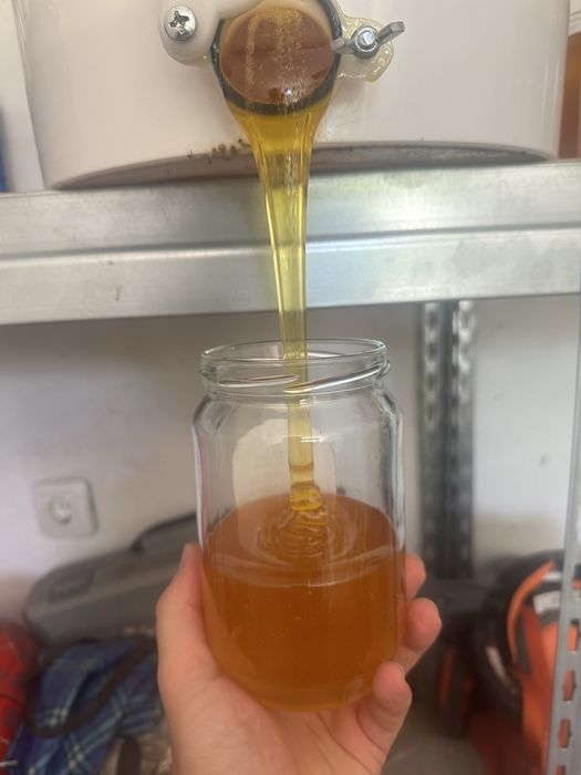 Чист натурален пчелен мед от Средна гора