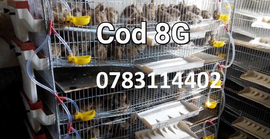 Prepelite gaini pui fazani gaste rate pasari-ADAPATORI Cu nivel fix-8G