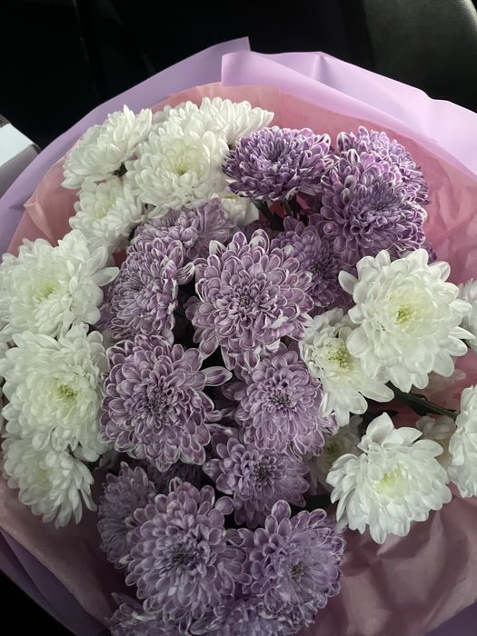 Цветы гипсофилы только что получили