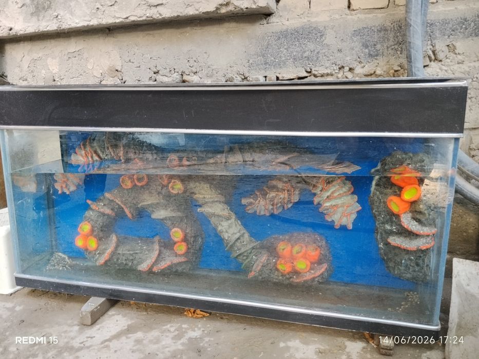 Аквариум сотилади