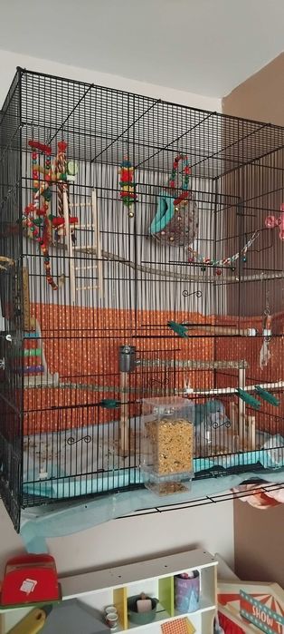 Ръчно хранен папагал монах с клетката