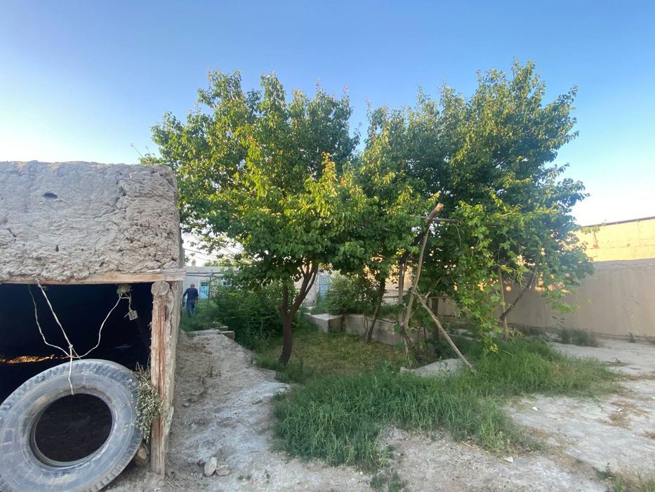 12 soʻtixli uchastka