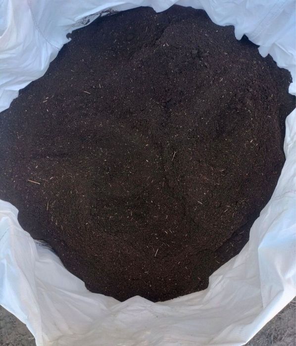 Навозз сатыладыы