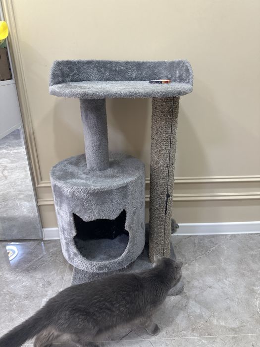 Домик + когтигочка+ переноска