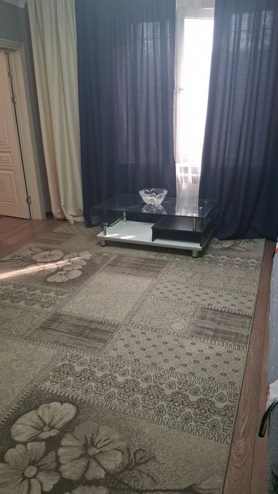 Палас 2.5 на 6 м