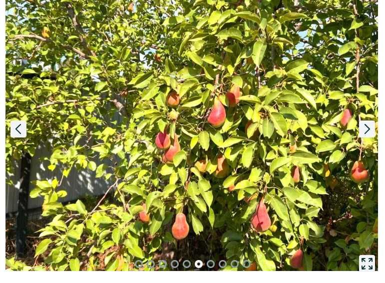 Срочно продам дом, недорого.
