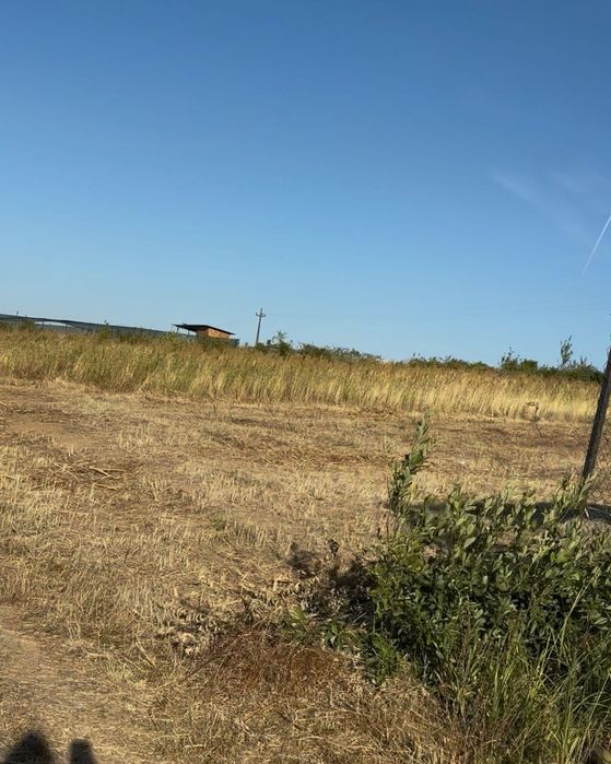 Teren intravilan în PALEU, str Soarelui