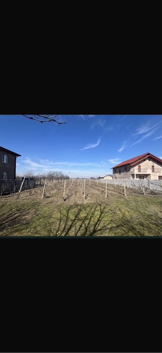 Vand teren intravilan 2630 mp Dumbraveni