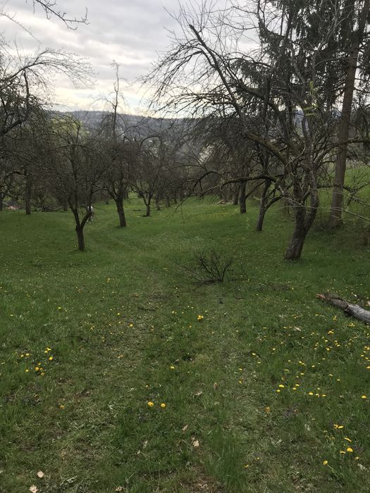 Teren de vânzare - Berbești, Maramureș