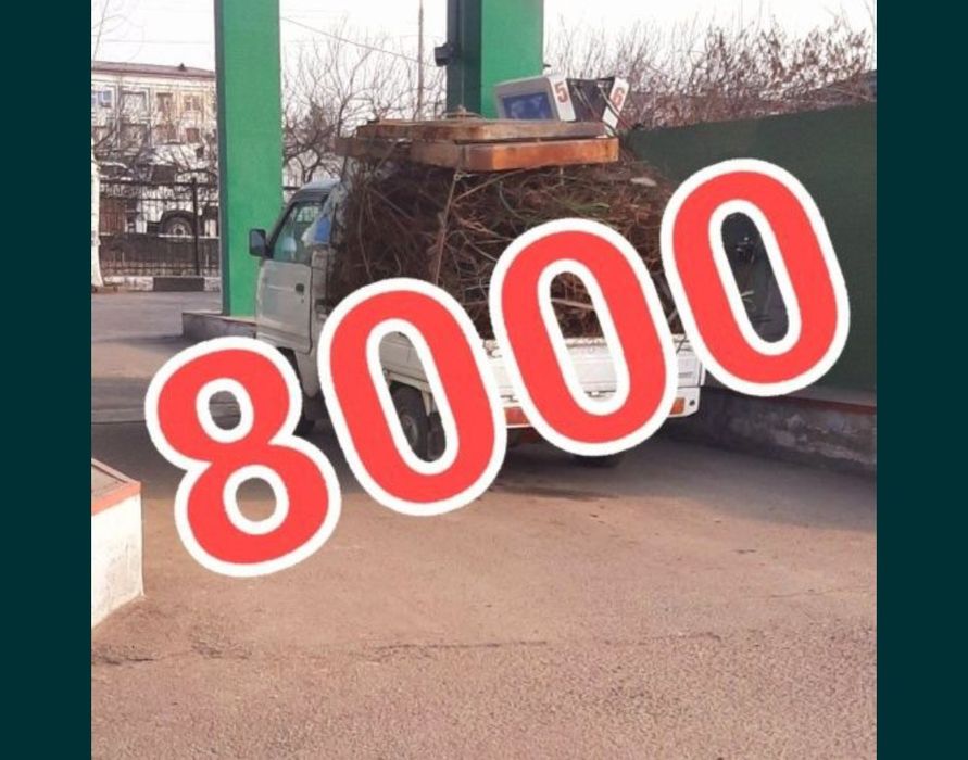 Метталлом оламіз Metalom olamiz