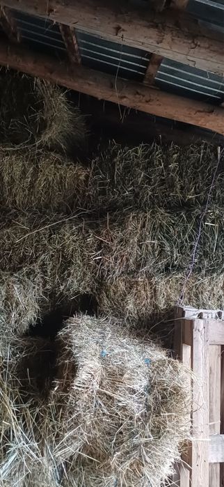 Vând baloți de fân