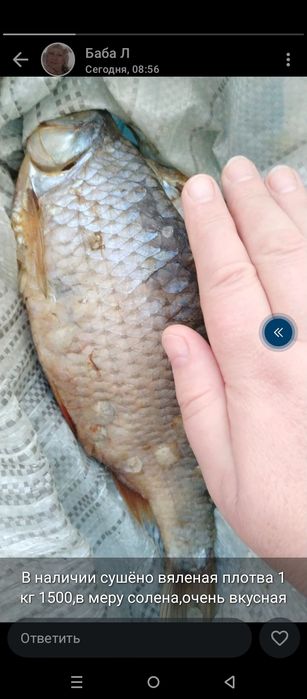 Вяленая плотва. Очень вкусная.