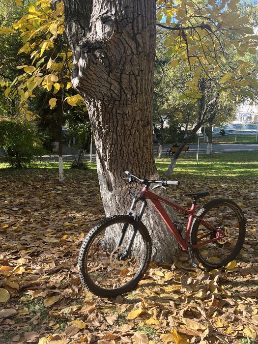 Vand sau schimb Canyon stoic 3 stare foarte buna