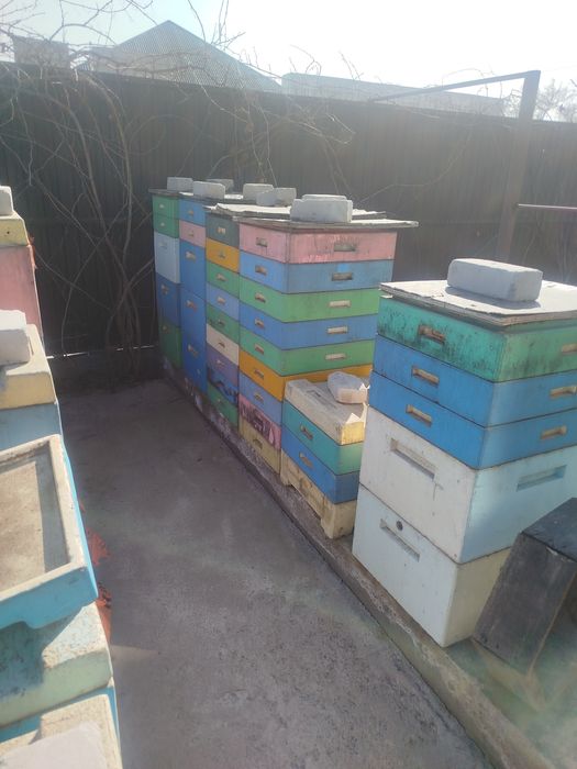 Продам улья дадан пенополистирол