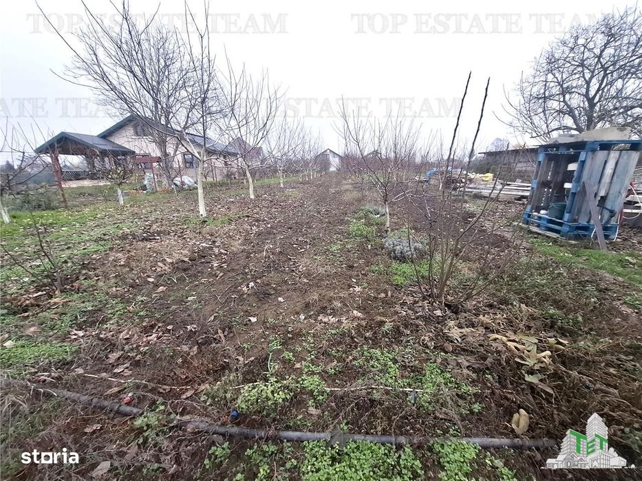 Teren Intravilan Moara Vlasiei 963 mp, Zona Superba,
