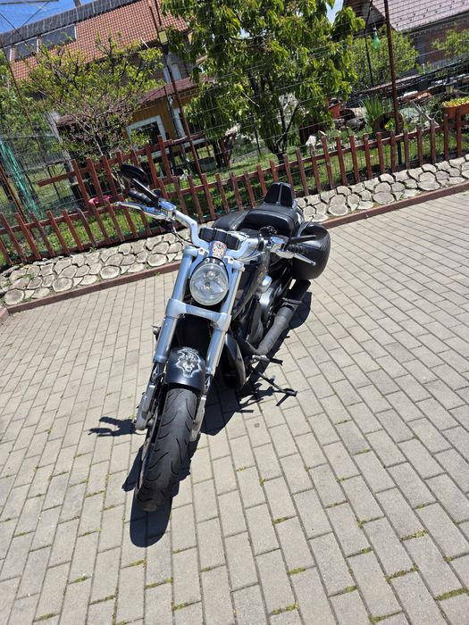 Harley Davidson VRSCF V-ROD Muscle