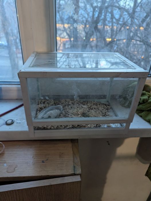 Продам террариум