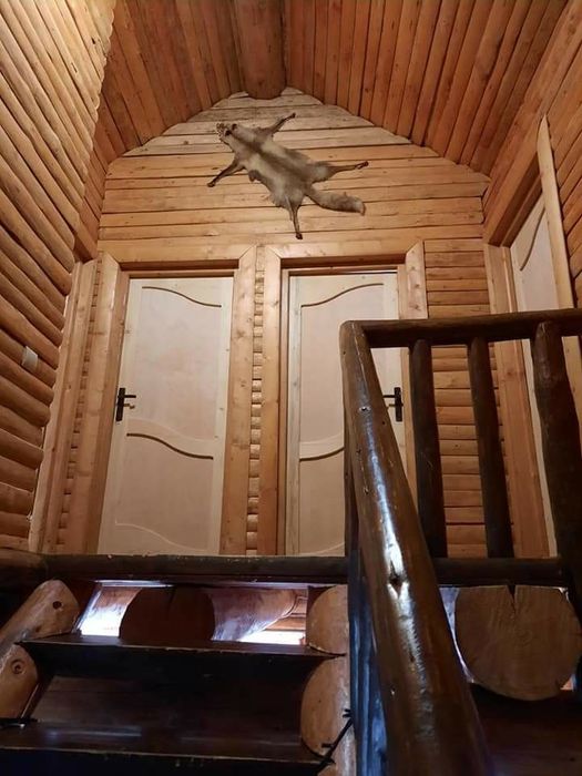 Cabana , munte ,Beliș