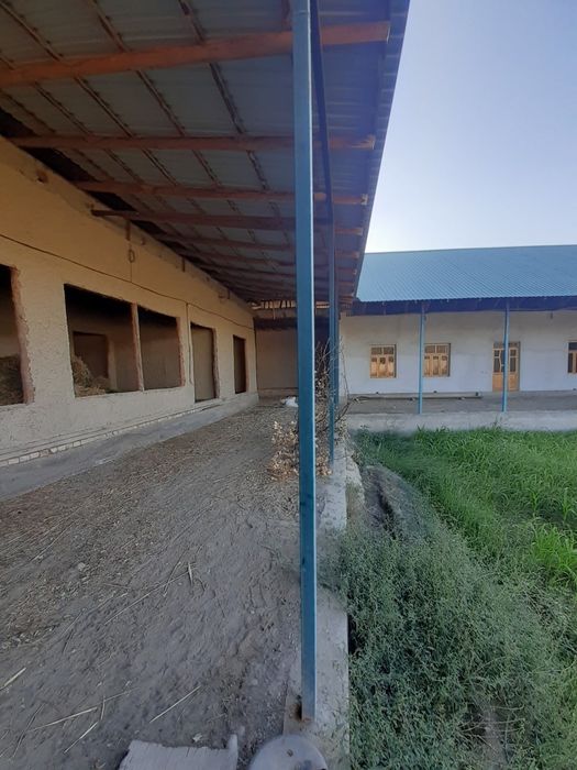 Uchastka srochno sotiladi narxi yana kelishiladi