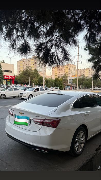 Malibu 2 primier