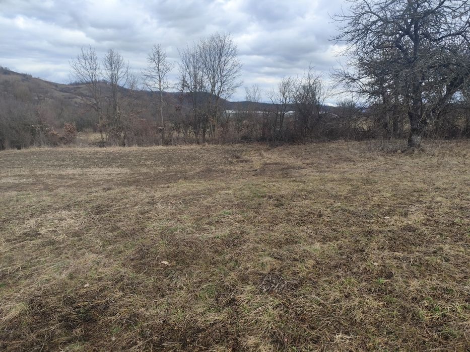 Caut colaborare,parteneriat afacere turism, agrement etc. Rog citiți