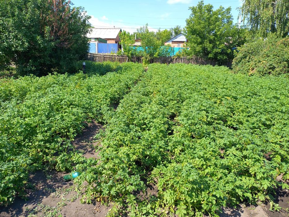 Продаётся дом в районе  Новый Подхоз