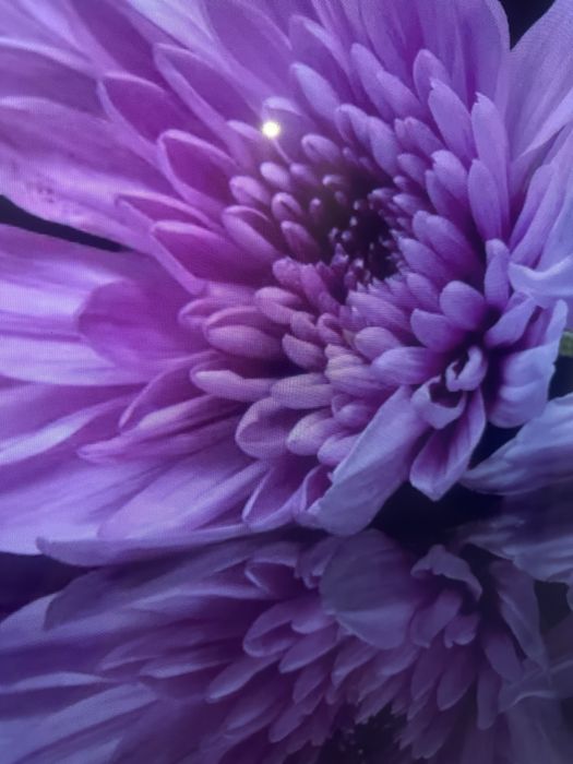 Продам телевизор Haier !