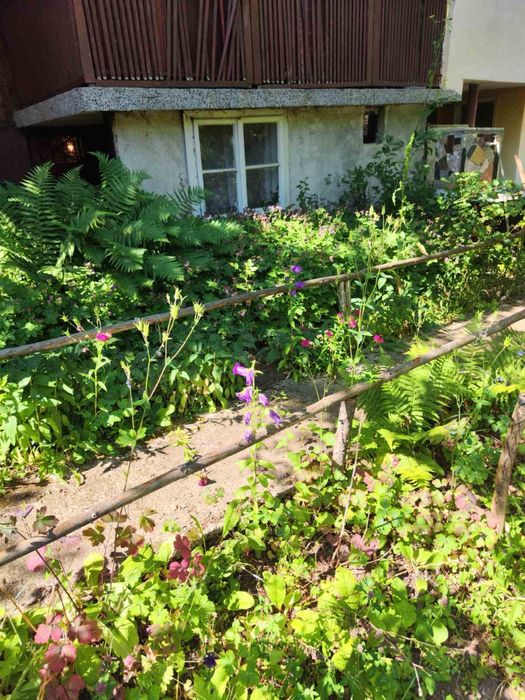 Къща в Щъркелово гнездо