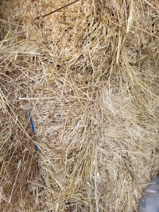 Сено и люцерина за животни.