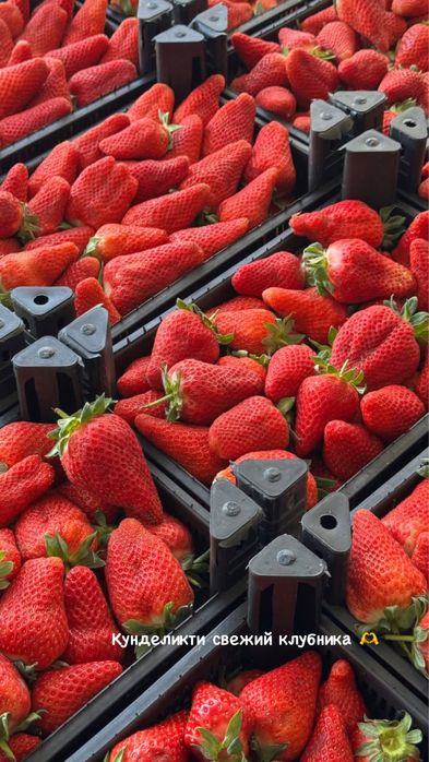 Клубника в шоколаде