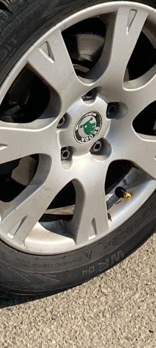 Genti originale Octavia