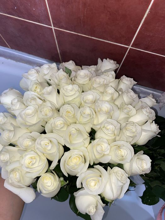51 роза сатылады
