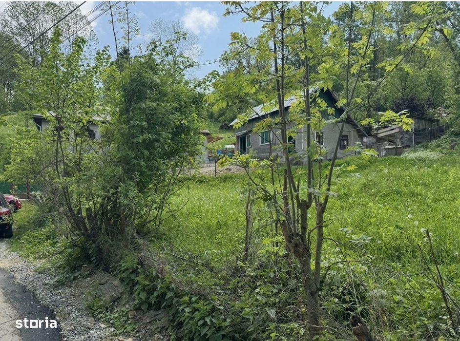 Teren și suprafață împădurită în comuna Provița de Sus - Prahova